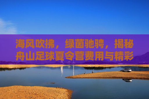 海风吹拂，绿茵驰骋，揭秘舟山足球夏令营费用与精彩亮点