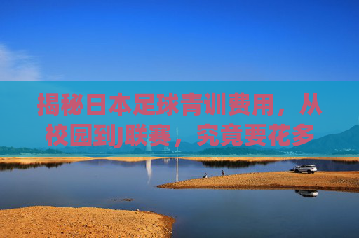 揭秘日本足球青训费用,从校园到J联赛,究竟要花多少钱?