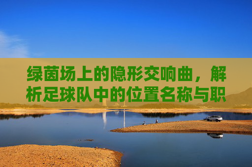 绿茵场上的隐形交响曲，解析足球队中的位置名称与职责