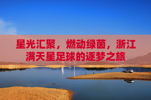 星光汇聚，燃动绿茵，浙江满天星足球的逐梦之旅