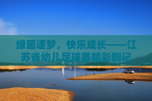 绿茵逐梦，快乐成长——江苏省幼儿足球赛精彩侧记
