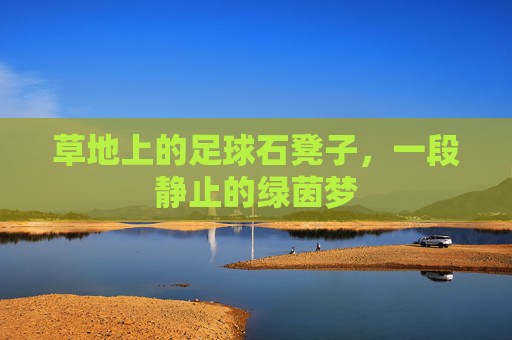 草地上的足球石凳子,一段静止的绿茵梦