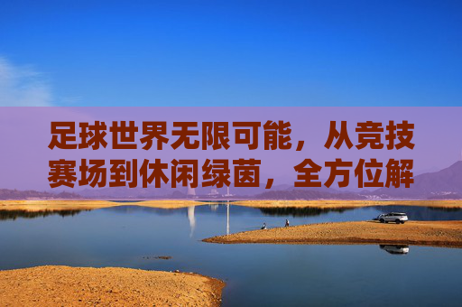 足球世界无限可能，从竞技赛场到休闲绿茵，全方位解析足球活动形式