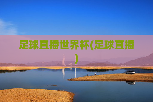 足球直播世界杯(足球直播)