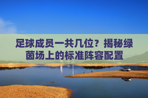 足球成员一共几位？揭秘绿茵场上的标准阵容配置
