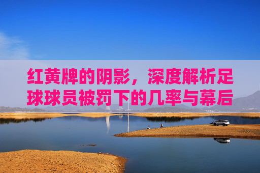 红黄牌的阴影，深度解析足球球员被罚下的几率与幕后因素