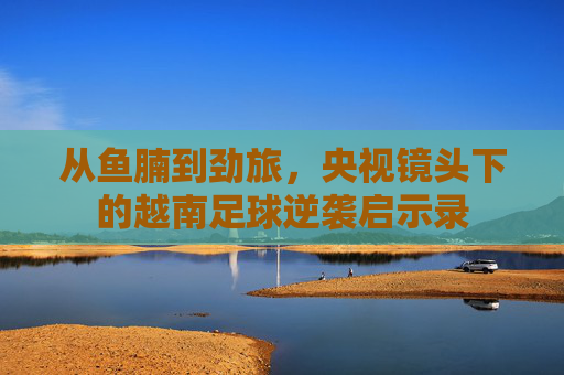 从鱼腩到劲旅，央视镜头下的越南足球逆袭启示录