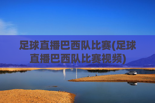 足球直播巴西队比赛(足球直播巴西队比赛视频)