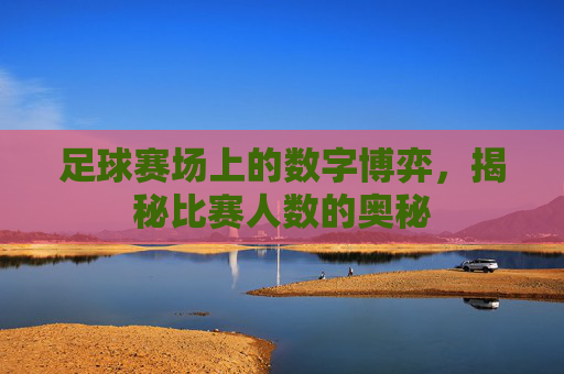 足球赛场上的数字博弈，揭秘比赛人数的奥秘