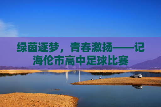 绿茵逐梦，青春激扬——记海伦市高中足球比赛