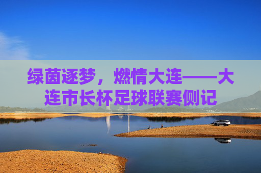 绿茵逐梦，燃情大连——大连市长杯足球联赛侧记