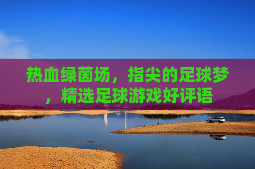 热血绿茵场，指尖的足球梦，精选足球游戏好评语