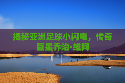 揭秘亚洲足球小闪电，传奇巨星乔治·维阿