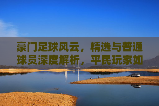 豪门足球风云，精选与普通球员深度解析，平民玩家如何选择？