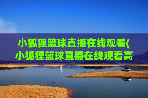 小狐狸篮球直播在线观看(小狐狸篮球直播在线观看高清)