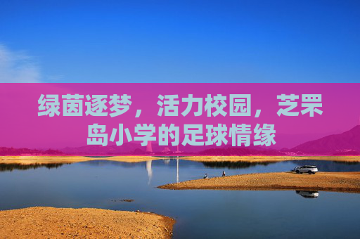 绿茵逐梦，活力校园，芝罘岛小学的足球情缘