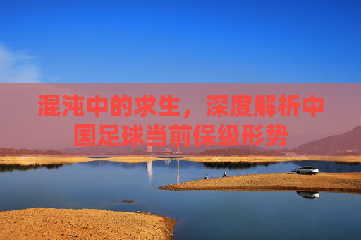 混沌中的求生,深度解析中国足球当前保级形势