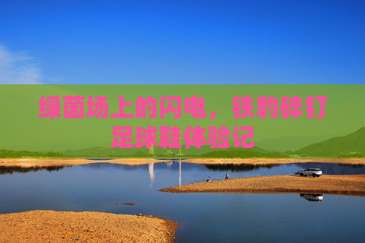 绿茵场上的闪电,铁豹碎钉足球鞋体验记