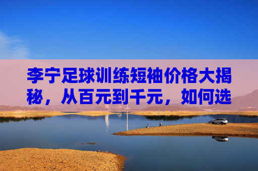 李宁足球训练短袖价格大揭秘，从百元到千元，如何选到性价比之王？