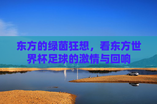 东方的绿茵狂想，看东方世界杯足球的激情与回响