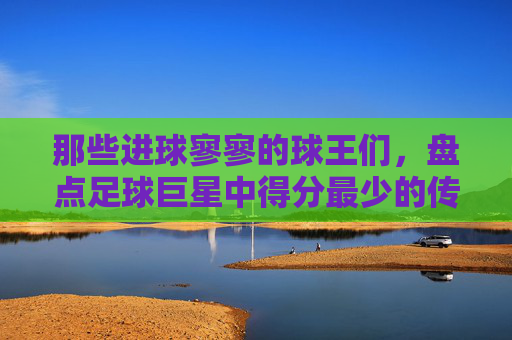 那些进球寥寥的球王们,盘点足球巨星中得分最少的传奇