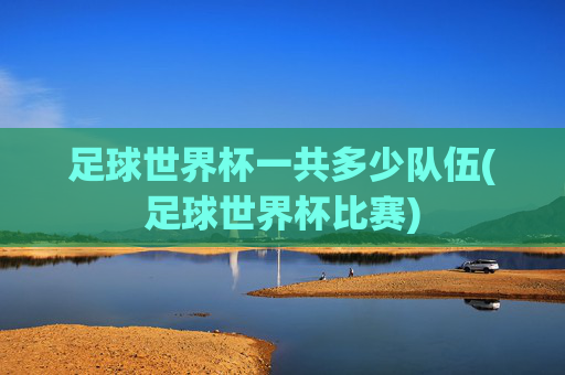 足球世界杯一共多少队伍(足球世界杯比赛)