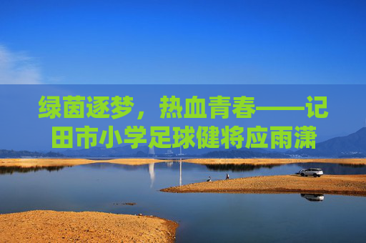 绿茵逐梦，热血青春——记田市小学足球健将应雨潇