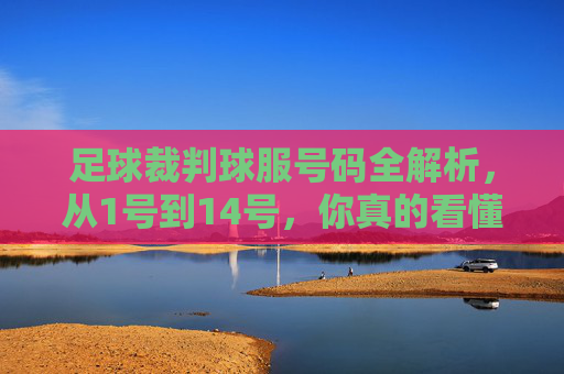 足球裁判球服号码全解析,从1号到14号,你真的看懂了吗?