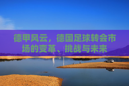 德甲风云，德国足球转会市场的变革、挑战与未来