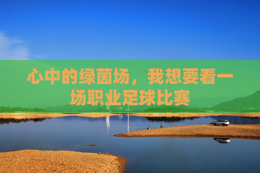 心中的绿茵场,我想要看一场职业足球比赛
