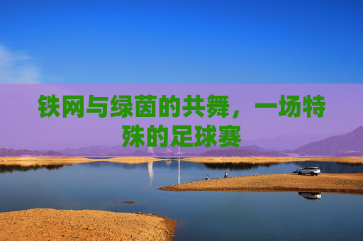 铁网与绿茵的共舞，一场特殊的足球赛