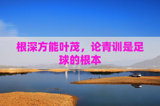 根深方能叶茂,论青训是足球的根本