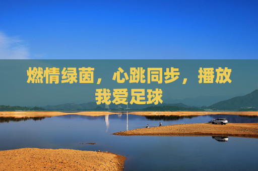 燃情绿茵,心跳同步,播放我爱足球