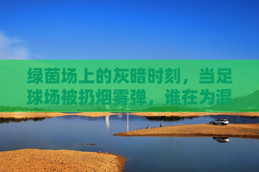 绿茵场上的灰暗时刻，当足球场被扔烟雾弹，谁在为混乱买单？