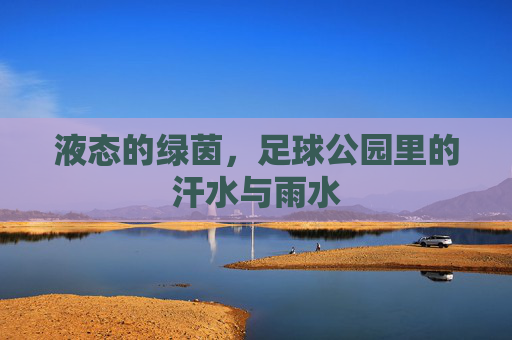 液态的绿茵，足球公园里的汗水与雨水