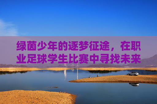 绿茵少年的逐梦征途，在职业足球学生比赛中寻找未来