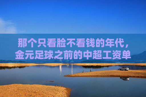 那个只看脸不看钱的年代，金元足球之前的中超工资单