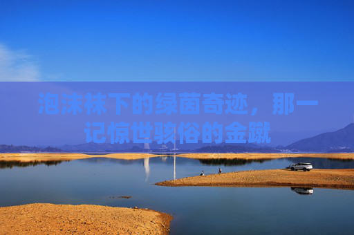 泡沫袜下的绿茵奇迹，那一记惊世骇俗的金蹴
