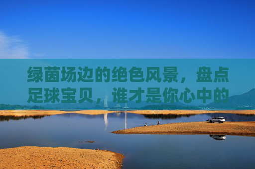 绿茵场边的绝色风景,盘点足球宝贝,谁才是你心中的最美?