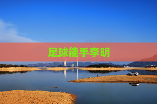 足球能手李明