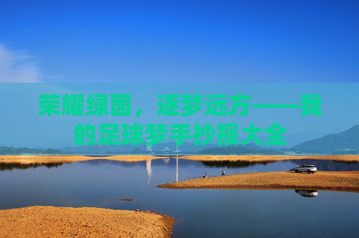 荣耀绿茵，逐梦远方——我的足球梦手抄报大全