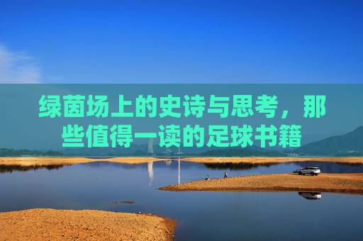 绿茵场上的史诗与思考，那些值得一读的足球书籍