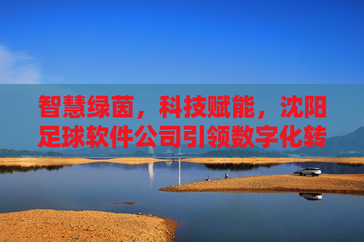 智慧绿茵，科技赋能，沈阳足球软件公司引领数字化转型新篇章