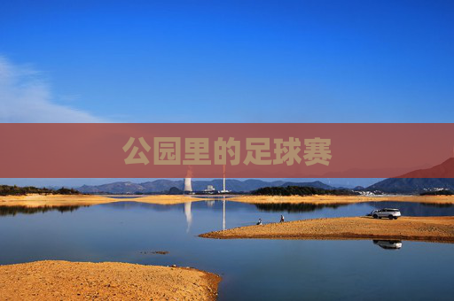 公园里的足球赛