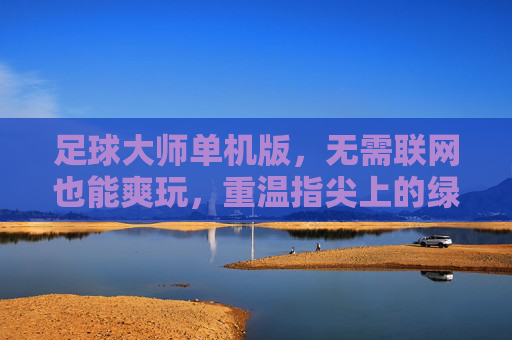 足球大师单机版,无需联网也能爽玩,重温指尖上的绿茵传奇