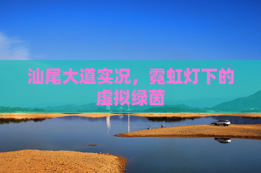 汕尾大道实况,霓虹灯下的虚拟绿茵