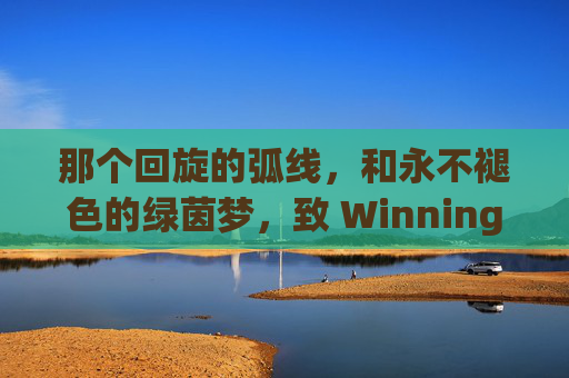 那个回旋的弧线，和永不褪色的绿茵梦，致 Winning Eleven 4