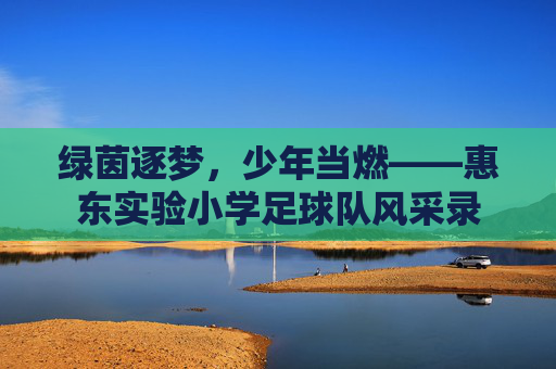 绿茵逐梦，少年当燃——惠东实验小学足球队风采录