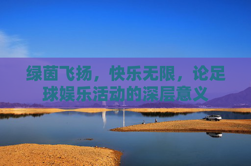 绿茵飞扬，快乐无限，论足球娱乐活动的深层意义