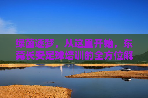 绿茵逐梦，从这里开始，东莞长安足球培训的全方位解析